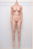 【2025.10.25-2025.11.25】MLW Doll Silicone Sex Doll Year-End Promotion Page