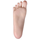 JSL DOLL 136cm AA-cup 大日奈（Darinai）PVC Head+ TPE Body Anime Succubus Doll