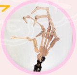 JSL DOLL 136cm AA-cup 大日奈（Darinai）PVC Head+ TPE Body Anime Succubus Doll