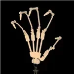 Irokebijin S-TPE Sex Doll 95cm F-cup Rico A Head in Blue Dress