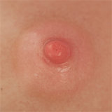 TOP-CYDOLL 110cm E-Cup Lindsay Head Full Silicone Torso Real Skin Texture Elf Style