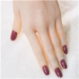 【RRS+ Makeup】Top Sino Doll 171cm D-cup T47 Head  RRS+ Makeup selectable Glitter Dress