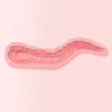 FANREAL 111cm F-cup Full Size Lifelike Silicone Sex Torso with Manddy Head Real Skin Texture Upper Body