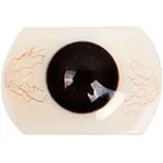 【2026.01.1-2026.2.28】Doll Senior Full Siiicone Sex Doll Over 148cm January & February Promotions Page