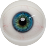 FANREAL 111cm F-cup Full Size Lifelike Silicone Sex Torso with Maria Head Real Skin Texture in Pink Lace Bodysuit