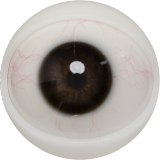 FANREAL 166 cm J-Cup Bellona Head Full Size Lifelike Silicone Sex Doll Tan Skin in Leopard Bodysuit