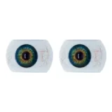 XYDOLL Sex Doll 148cm/4ft9 D-cup Silicone Phoebe Head Body Selectable College Style Outfit