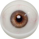 FANREAL 111cm F-cup Full Size Lifelike Silicone Sex Torso with Carlee Head Real Skin Texture in Blue Lace Outfit