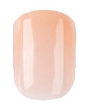 SHEDOLL 楚琳 Chulin Head 160cm C-cup Sex Doll Body Material Customizable in Chef Outfit