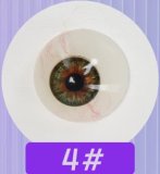 AJLDOLL Silicone Head Collection Page (Head Only)