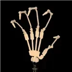 Irokebijin S-TPE Sex Doll 120cm K-cup Aisa Head Huge Breast Big Ass