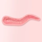 GRACE OF FANREAL Full Silicone Sex Doll 156cm D-cup Sana Head Actress Makeup in Pink Dress