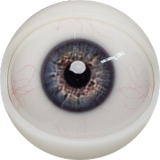 FANREAL 170 cm/5ft6 G-Cup kelly Head Full Size Lifelike Silicone Sex Doll Real Skin Texture Blue Lace Lingerie