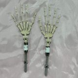 Minuova Doll 74cm Body with Finger Skeleton Cici Head Full Silicone Mini Sex Doll Comes with Doll Stand Silver Jacket