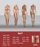 【2026.01.1-2026.2.28】Doll Senior Full Siiicone Sex Doll Over 148cm January & February Promotions Page