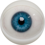 FANREAL 111cm F-cup Full Size Lifelike Silicone Sex Torso with Della Head Real Skin Texture in Black Lace Bodysuit