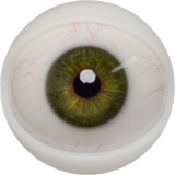 FANREAL 166 cm J-Cup Nora Head Full Size Lifelike Silicone Sex Doll Fair Skin in Red Bathrobe