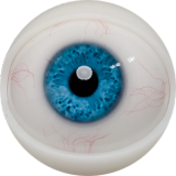 FANREAL 166 cm J-Cup Nora Head Full Size Lifelike Silicone Sex Doll Fair Skin in Red Bathrobe