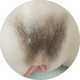 Full Silicone AIO Sanhui Doll 125cm E-cup #11 head with seamless cute kitty costume