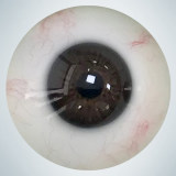 【2026.2.3-2.23】Gynoid Lunar New Year Promotion Page