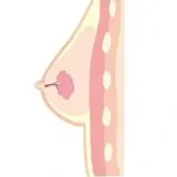 【2026.2.3-2.23】Gynoid Lunar New Year Promotion Page