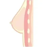 【2026.2.3-2.23】Gynoid Lunar New Year Promotion Page