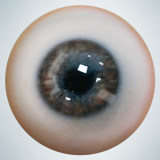 【2026.2.3-2.23】Gynoid Lunar New Year Promotion Page