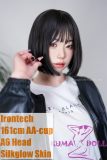 Irontech Oriental Doll 161Mcm AA-Cup A6 Kurumi Head