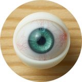 MLW doll Heads Only Sale Page（Suitable for M16 Bolt）Material&Makeup Selectable