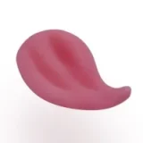 FANREAL 109cm F-cup Full Size Lifelike Silicone Sex Torso with Mirella Head in White Green Lingerie