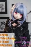 CPDOLL 156cm A-cup P1 Head