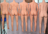 MLW doll Sex Doll 145cm+ Collection Page (TPE Body Only)