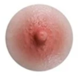 Jiusheng Doll Sex Doll 163cm/5ft4 F-cup  Lisa head TPE material body Head material selectable Height selectable