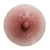 Jiusheng Doll  Sex Doll 168cm/5ft5 C-cup Rikki Head Natural skin Color Silicone Head And TPE Body