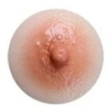 Jiusheng Doll  Sex Doll 168cm/5ft5 C-cup Rikki Head Natural skin Color Silicone Head And TPE Body
