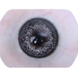 CPDOLL 155cm C-cup C8 Head Full Silicone Doll Real Skin Texture Handmade Eyeballs in Blue Fairy Costume