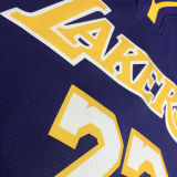LA Lakers James # 23 V-Neck Purple NBA Jerseys Hot Pressed