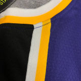 LA Lakers James #23 Purple NBA Jerseys Hot Pressed