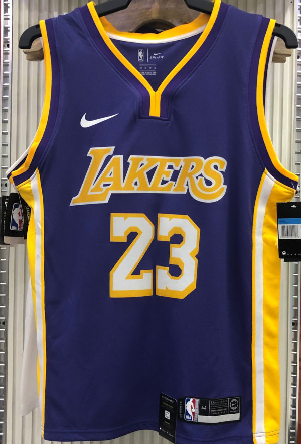 LA Lakers James # 23 V-Neck Purple NBA Jerseys Hot Pressed