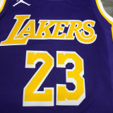 2021 LA Lakers Jordan James #23 Purple NBA Jerseys Hot Pressed