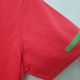 2010 Portugal Home Retro Soccer Jersey