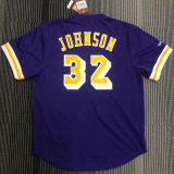 JOHNSON # 32 Lakers Purple Mitchell Ness Retro Jerseys