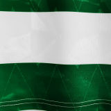 1989/99 Celtic Home Retro Soccer Jersey