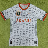 2024 Ivory Coast Special Edition White Player Version Jersey