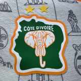 2024 Ivory Coast Special Edition White Player Version Jersey
