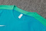 2024/25 Portugal Light Green Training Jersey(A Set)