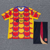 2024/25 BA  Training Jersey(A Set)