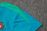 2024/25 Portugal Light Green Training Jersey(A Set)
