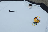 2024/25 France Light Blue Training Jersey(A Set)