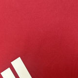 2024/25 Internacional Red Training Jersey  枣红色